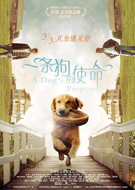 亚洲字幕在线观看